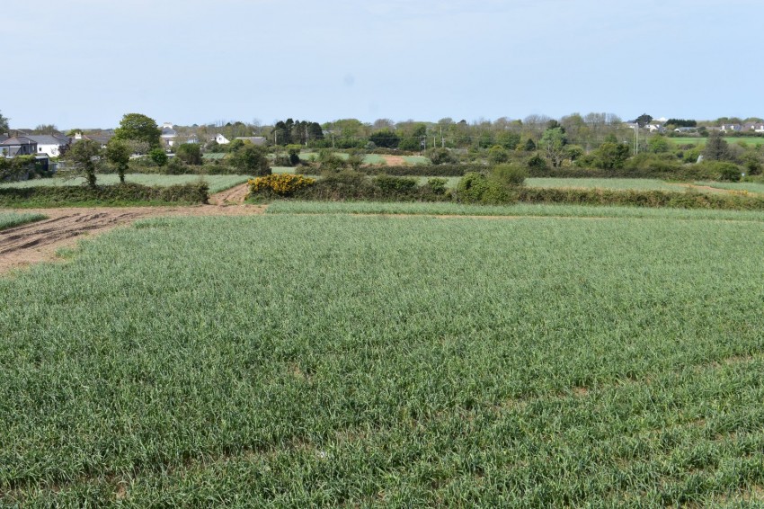 Images for Illogan Highway, Redruth, Cornwall