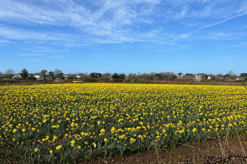 Images for Illogan Highway, Redruth, Cornwall